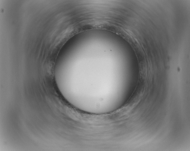 X0000088610044200706081445