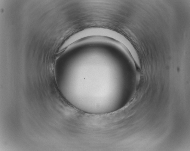 X0000088610045200706081445