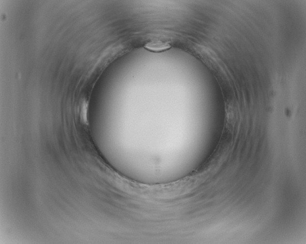 X0000088610046200706081445