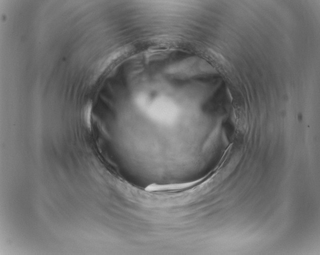 X0000088610047200706081445