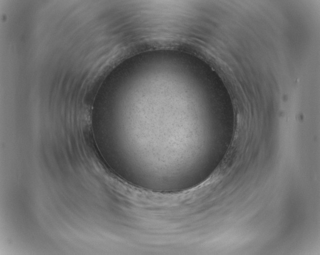 X0000088610048200706081445