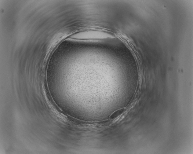 X0000088610049200706081444