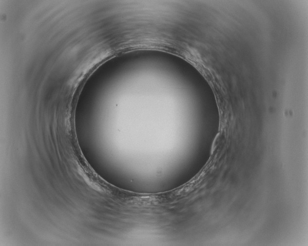 X0000088610050200706081444