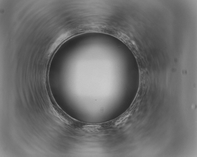 X0000088610051200706081444