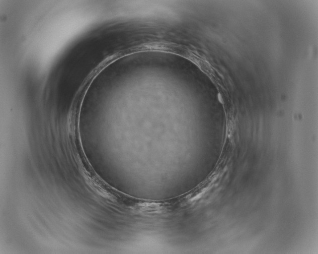 X0000088610052200706081444