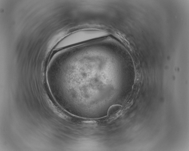 X0000088610053200706081444