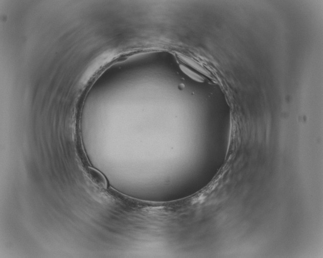 X0000088610054200706081444