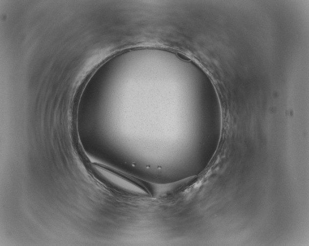 X0000088610055200706081444