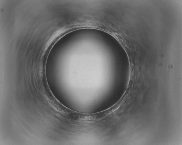 X0000088610056200706081444