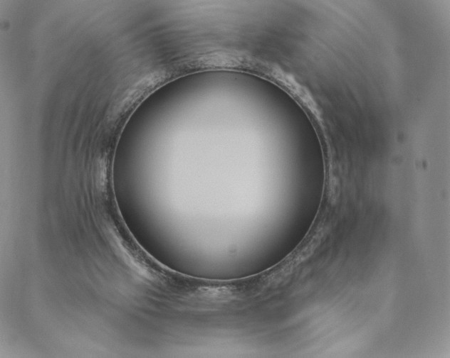 X0000088610057200706081444