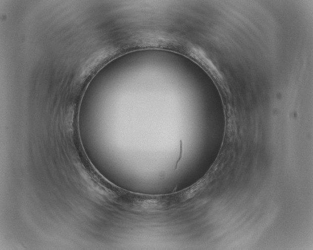 X0000088610058200706081444