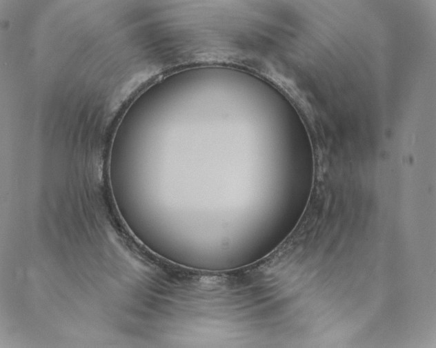 X0000088610060200706081444