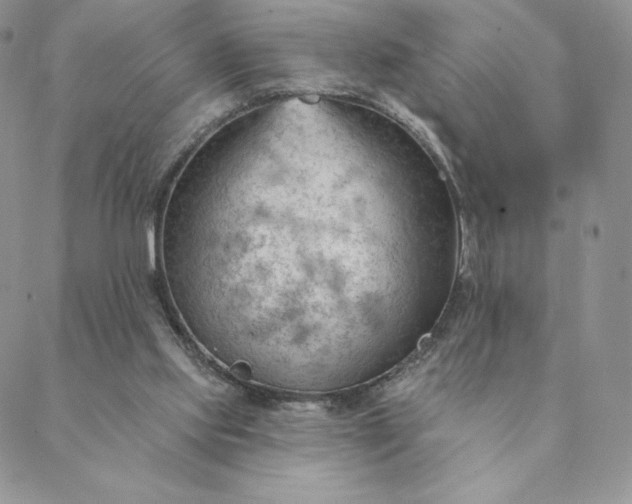 X0000088610061200706081444