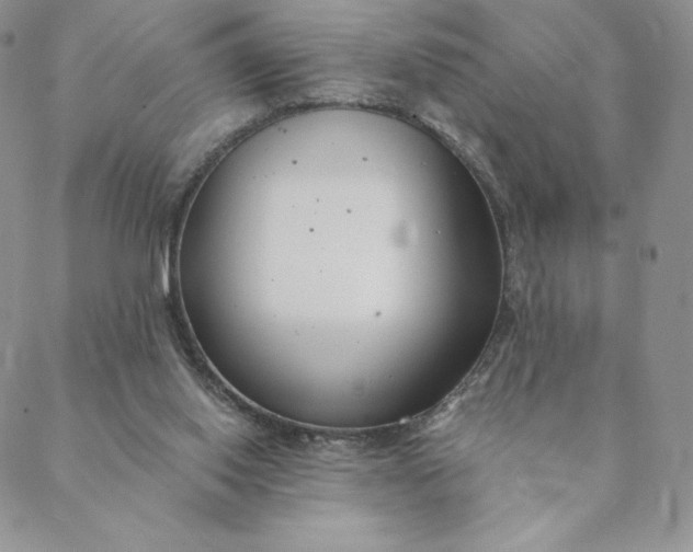 X0000088610062200706081444