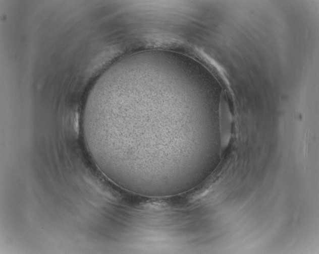 X0000088610067200706081444