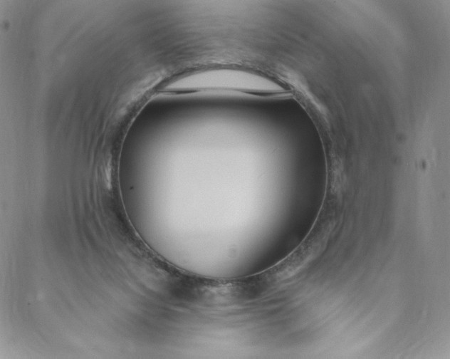 X0000088610068200706081444