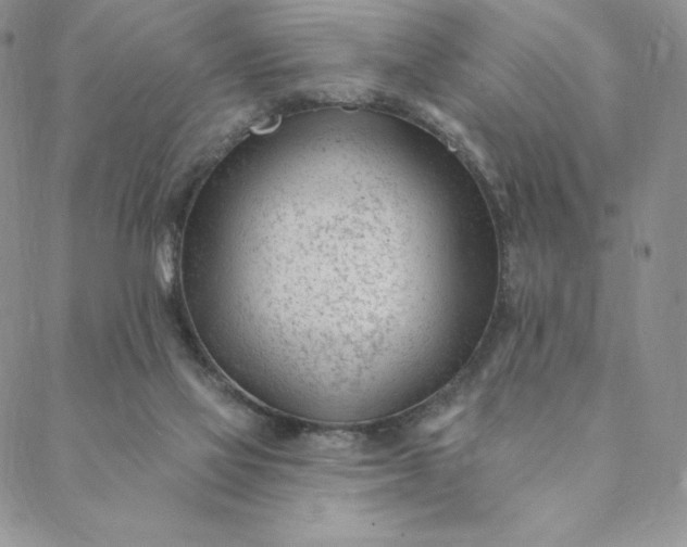 X0000088610069200706081444