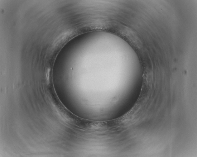 X0000088610070200706081444