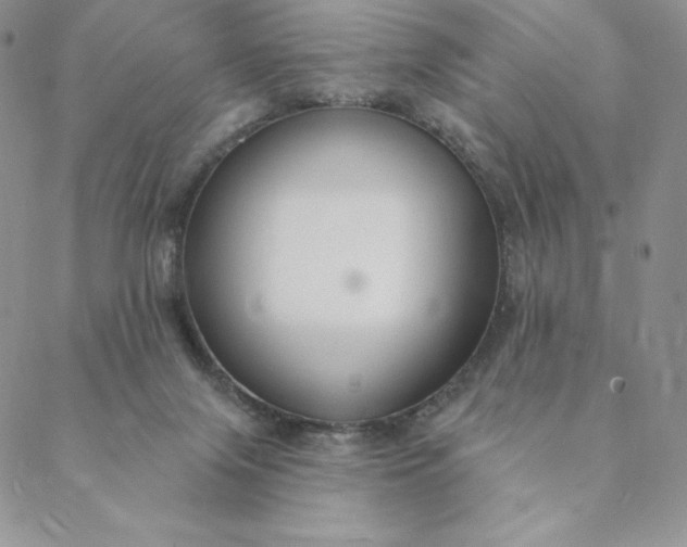 X0000088610071200706081444