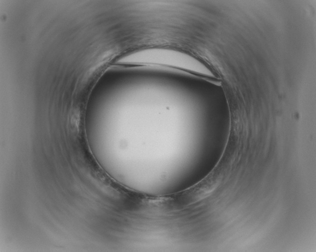 X0000088610072200706081444