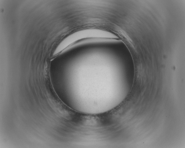 X0000088610073200706081444