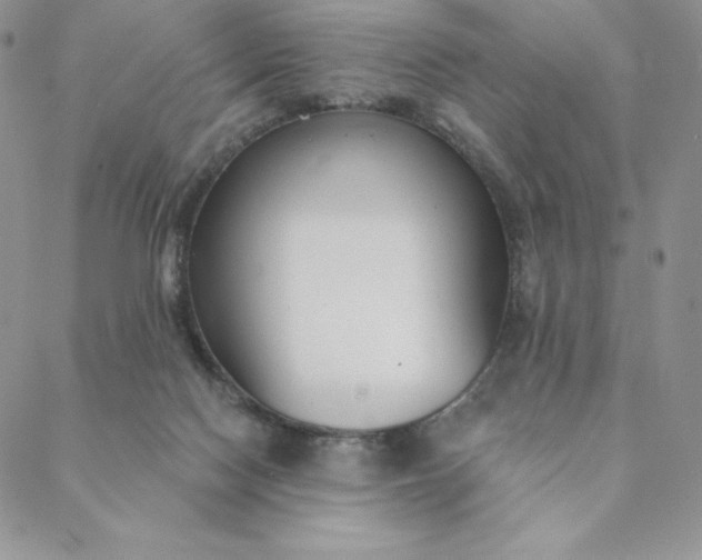 X0000088610074200706081444