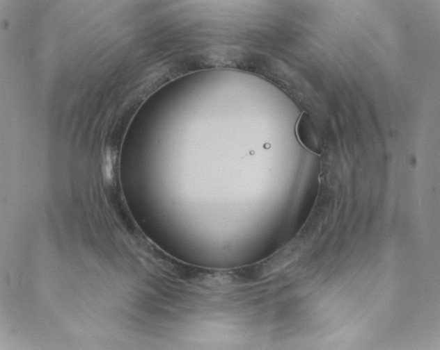 X0000088610075200706081445