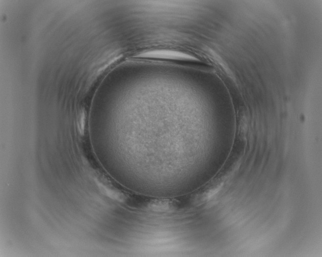 X0000088610076200706081445