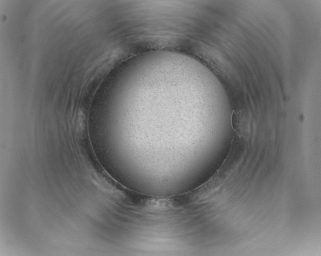 X0000088610077200706081445