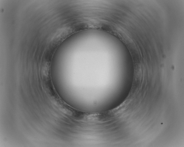 X0000088610078200706081445