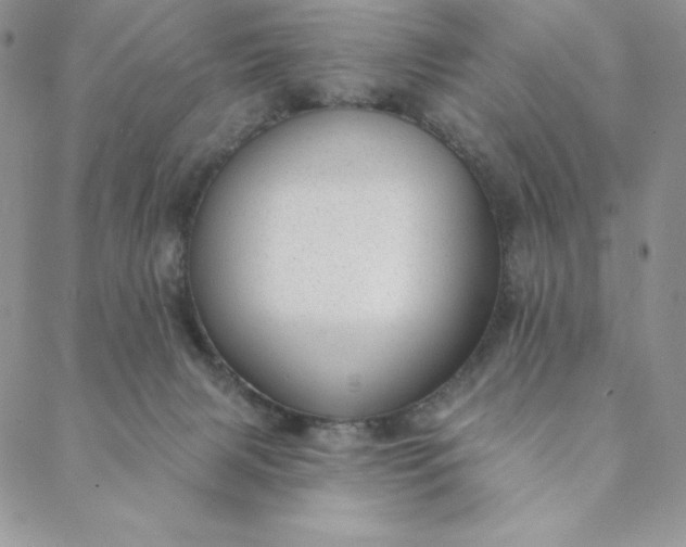 X0000088610079200706081445