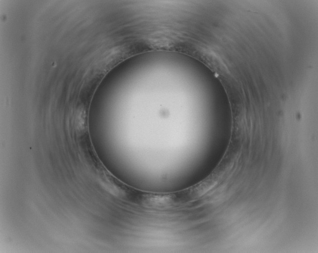 X0000088610081200706081445