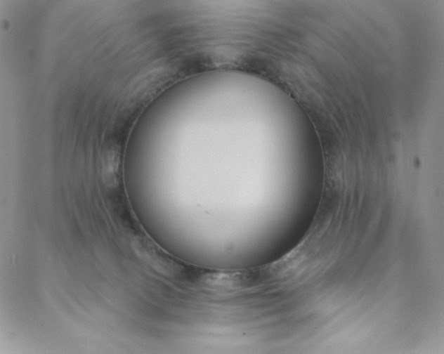 X0000088610082200706081445