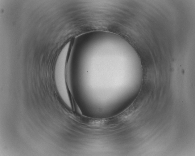 X0000088610084200706081445