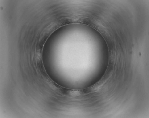 X0000088610085200706081445