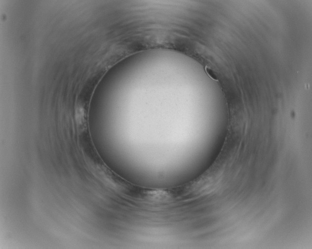 X0000088610087200706081445