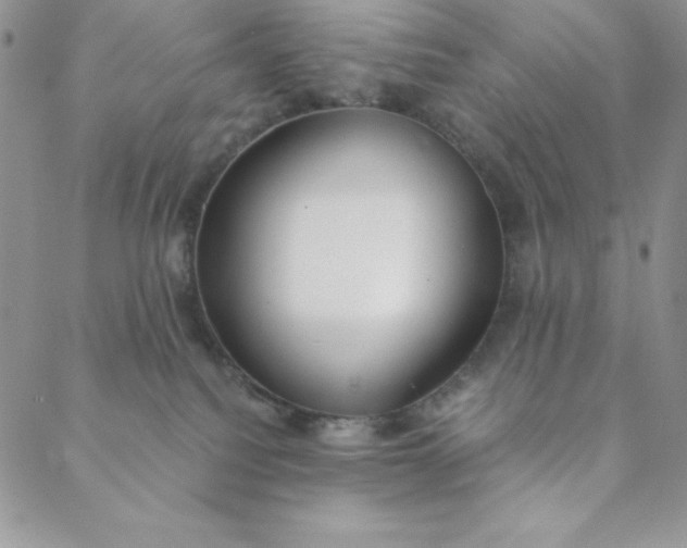 X0000088610088200706081445