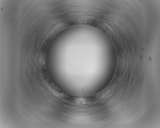 X0000088610091200706081445