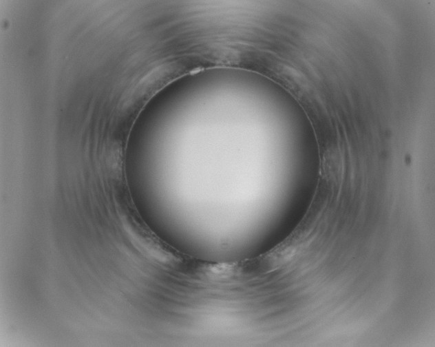 X0000088610092200706081445