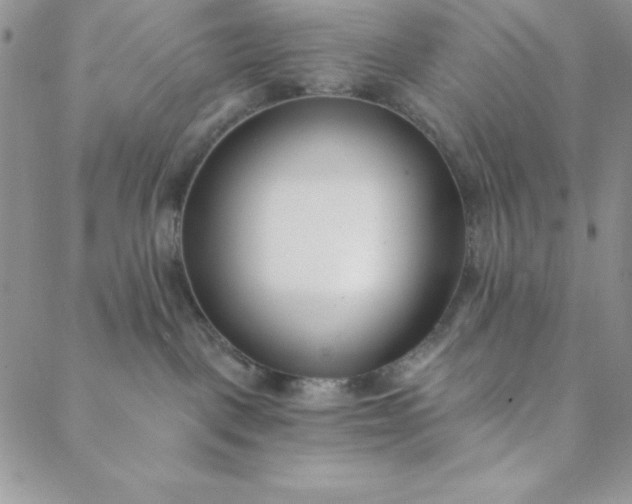 X0000088610093200706081445