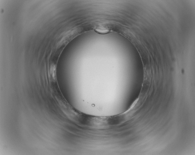 X0000088610094200706081445