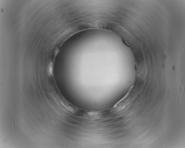 X0000088610095200706081445