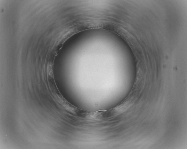 X0000088610096200706081445