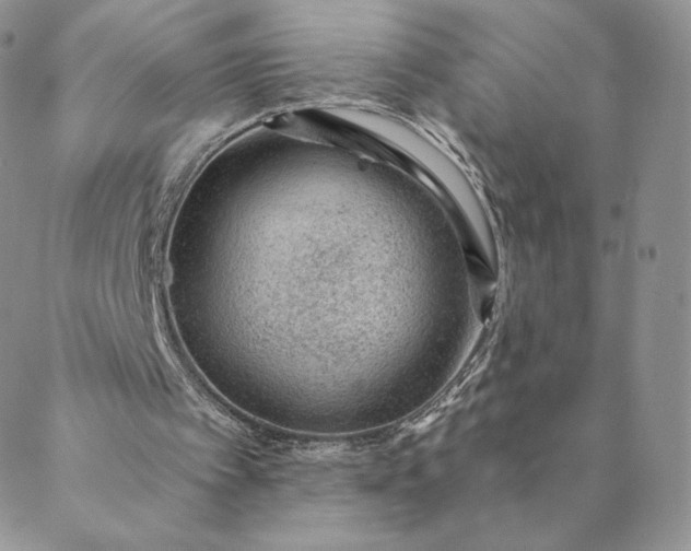 X0000088610097200706081444