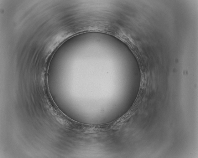 X0000088610098200706081444