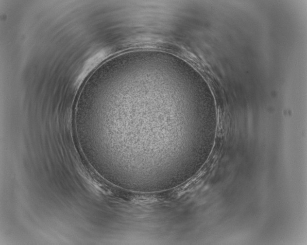 X0000088610099200706081444