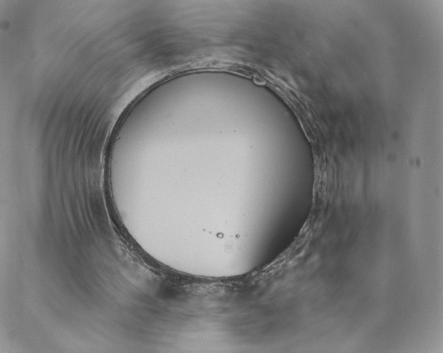 X0000088610100200706081444