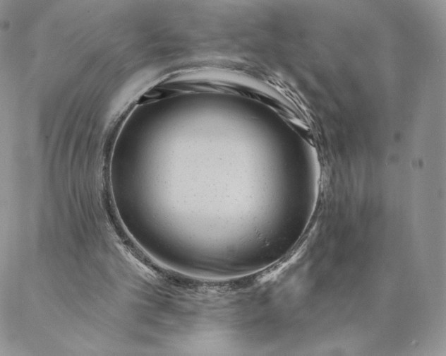 X0000088610101200706081444