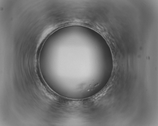 X0000088610102200706081444