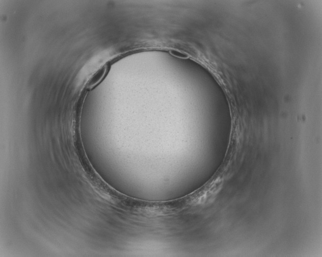 X0000088610103200706081444